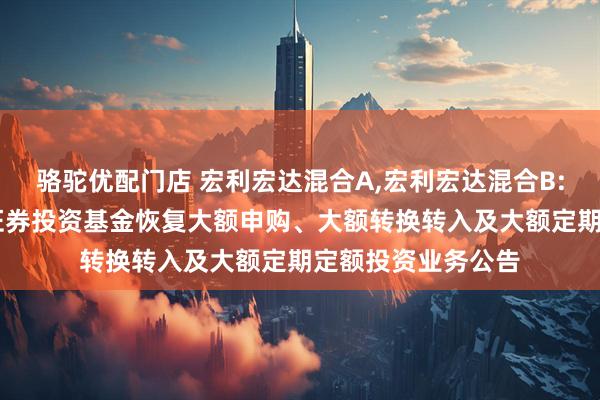 骆驼优配门店 宏利宏达混合A,宏利宏达混合B: 宏利宏达混合型证券投资基金恢复大额申购、大额转换转入及大额定期定额投资业务公告