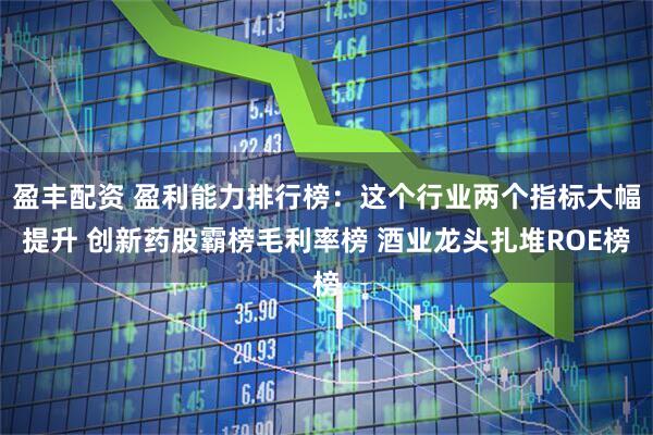 盈丰配资 盈利能力排行榜：这个行业两个指标大幅提升 创新药股霸榜毛利率榜 酒业龙头扎堆ROE榜
