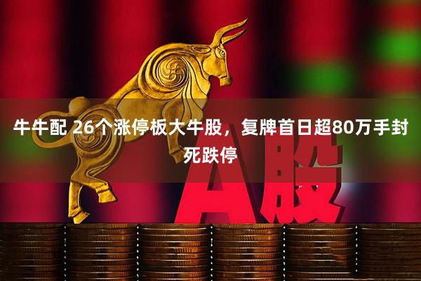 牛牛配 26个涨停板大牛股，复牌首日超80万手封死跌停
