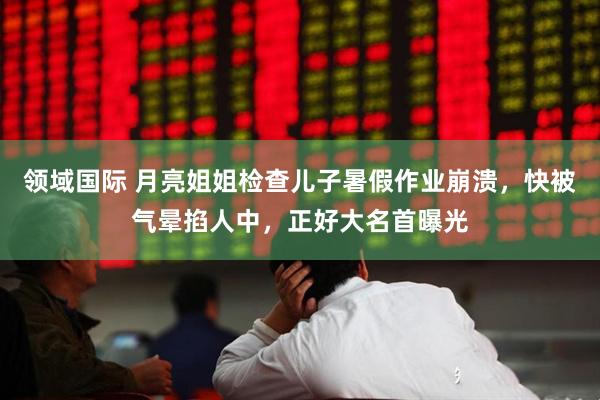 领域国际 月亮姐姐检查儿子暑假作业崩溃，快被气晕掐人中，正好大名首曝光